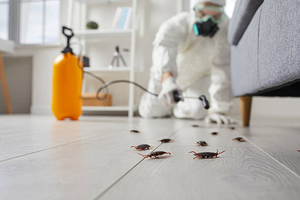 Trusted Rodent Control service in Cottage Grove, WI - Nex Pest Control